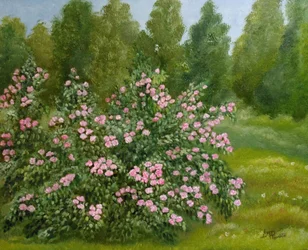 El tranquilo jardín de rosas