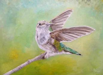 Alas de colibrí posado