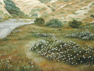 Flores silvestres de River Bend