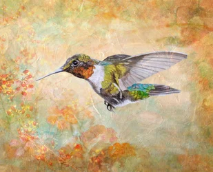 Colibrí de garganta rubí