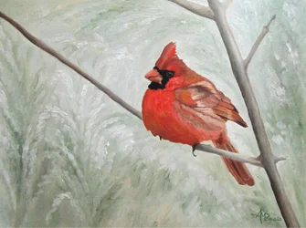 Cardenal invernal sereno