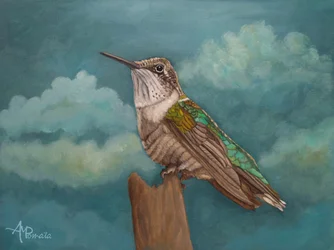 Colibrí celestial