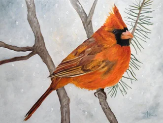 Cardenal rojo nevado