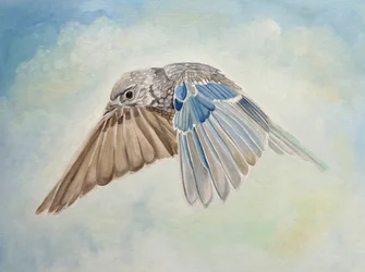El pájaro azul en vuelo