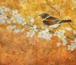 Flor de pájaro primaveral