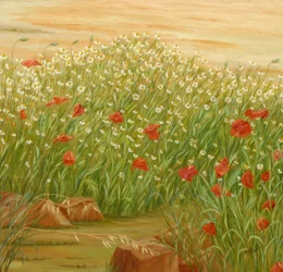 Campo de margaritas y amapolas de verano