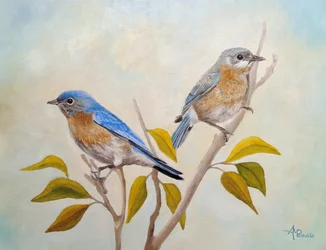 Dos pájaros azules posados