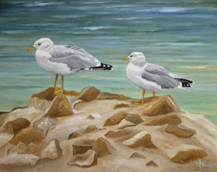 Dos gaviotas costeras