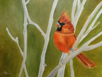 Un cardenal de colores vivos posado