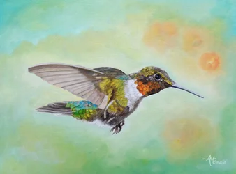 El vibrante vuelo del colibrí