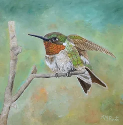 Un colibrí de colores vivos posado