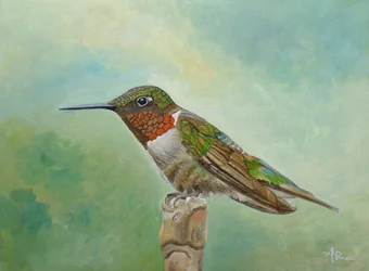 Un colibrí de colores vivos posado