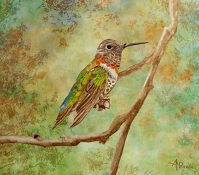 Un colibrí de colores vivos posado