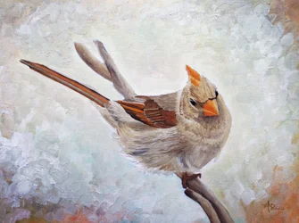 Una hembra de cardenal vigilante