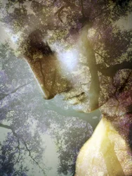 Perfil de Ethereal Forest