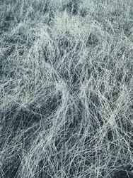 Hierba helada en invierno