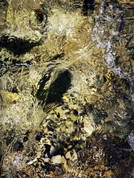 El curso del río Dorado
