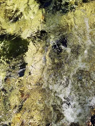 El curso del río Dorado