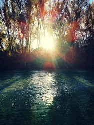 Luz del sol del Río Dorado