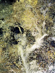 Oro líquido (3)