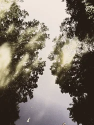 El cielo reflejado de la naturaleza