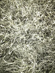 Césped de campo texturado