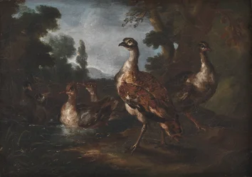 Paisaje con pájaros