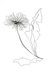 Dibujo lineal de un diente de león