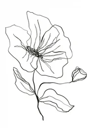 Dibujo de una flor delicada