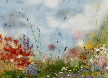 Campo de flores de vivos colores