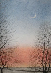 Tarde Temprana, 2010