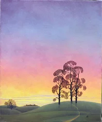 Camino a través de los pinos, 2004
