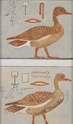 Copia de pintura mural de una tumba privada de Kaemankh, III, 1, 132, Giza, gansos, siglo XX