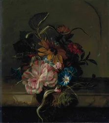 Girasol, enredadera y tulipán bicolor