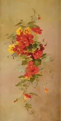 Capuchinas
