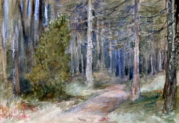 En un bosque, c. 1864-1930