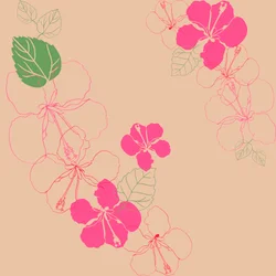 Hibisco