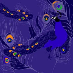 Pavo Real