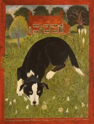 Perro Collie (acrílico)