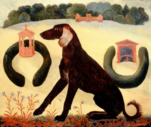 Perro del desierto