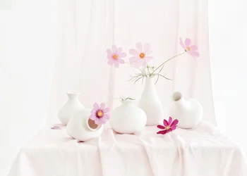 Naturaleza muerta con cosmos rosados