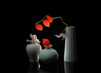 Elegante bodegón floral