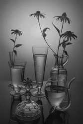 Flores monocromas y vidrio