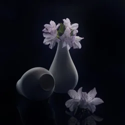 Flores y jarrones melancólicos