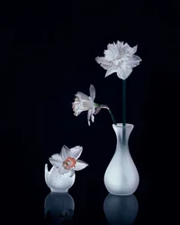Bodegón con narcisos blancos