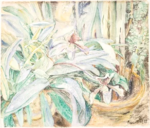 Orquídeas, Jardín Botánico, Pisa
