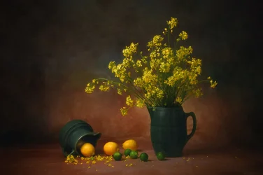Flores amarillas y limones