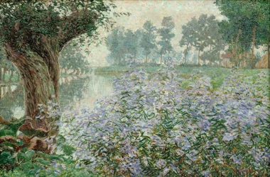 Niebla de plata
