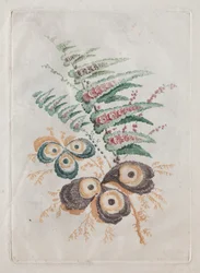 Nueva suite de portafolios de flores ideal para diseñar y pintar: Fantasías florales, c. 179