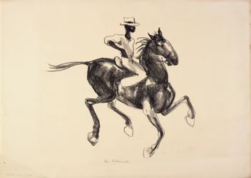 Caballo y jinete